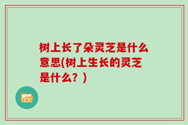 树上长了朵灵芝是什么意思(树上生长的灵芝是什么？)