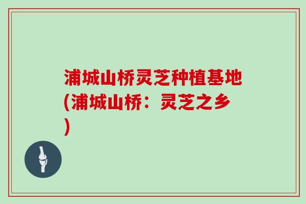 浦城山桥灵芝种植基地(浦城山桥：灵芝之乡)