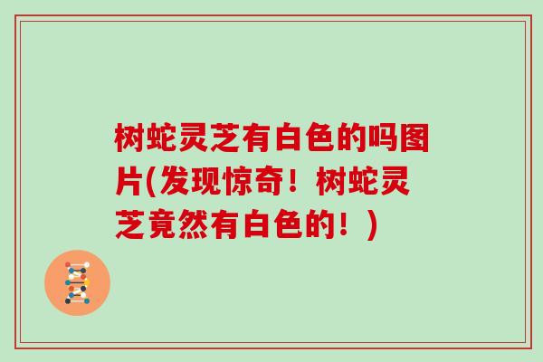 树蛇灵芝有白色的吗图片(发现惊奇！树蛇灵芝竟然有白色的！)