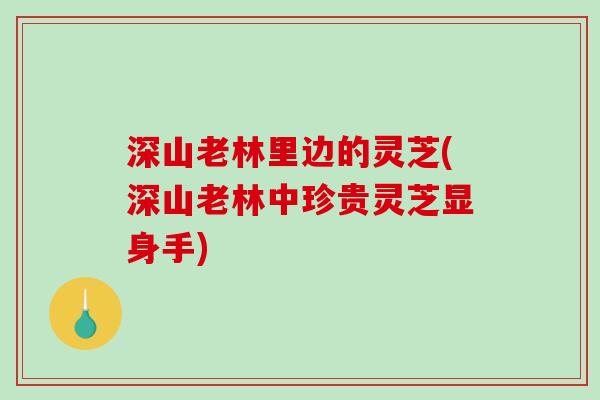 深山老林里边的灵芝(深山老林中珍贵灵芝显身手)