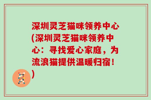 深圳灵芝猫咪领养中心(深圳灵芝猫咪领养中心：寻找爱心家庭，为流浪猫提供温暖归宿！)