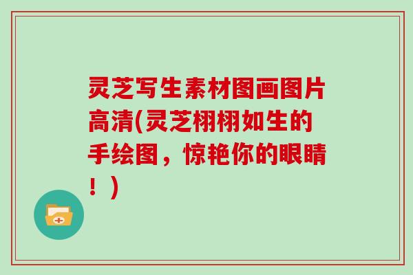 灵芝写生素材图画图片高清(灵芝栩栩如生的手绘图，惊艳你的眼睛！)