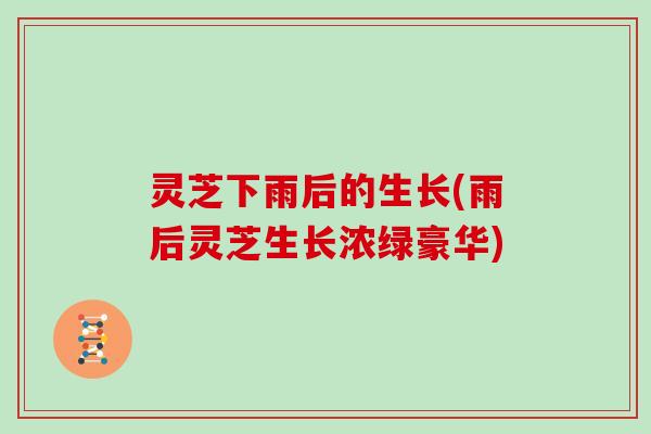 灵芝下雨后的生长(雨后灵芝生长浓绿豪华)