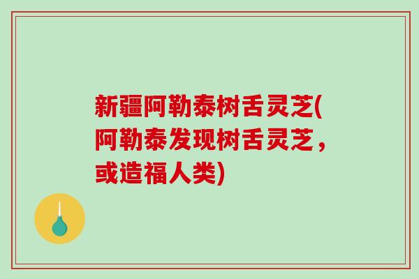 新疆阿勒泰树舌灵芝(阿勒泰发现树舌灵芝，或造福人类)