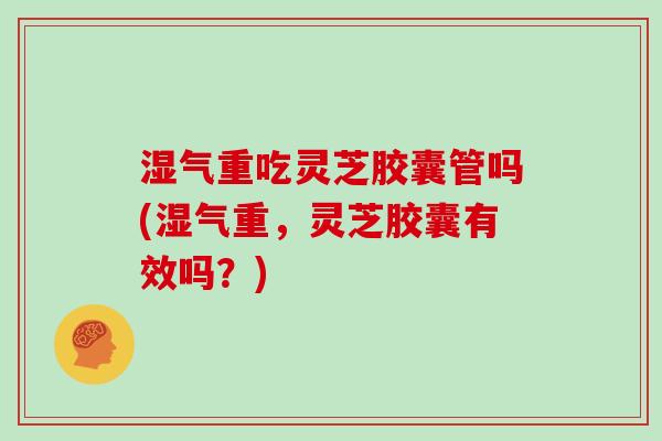 湿气重吃灵芝胶囊管吗(湿气重，灵芝胶囊有效吗？)