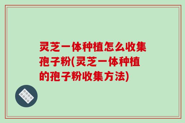 灵芝一体种植怎么收集孢子粉(灵芝一体种植的孢子粉收集方法)