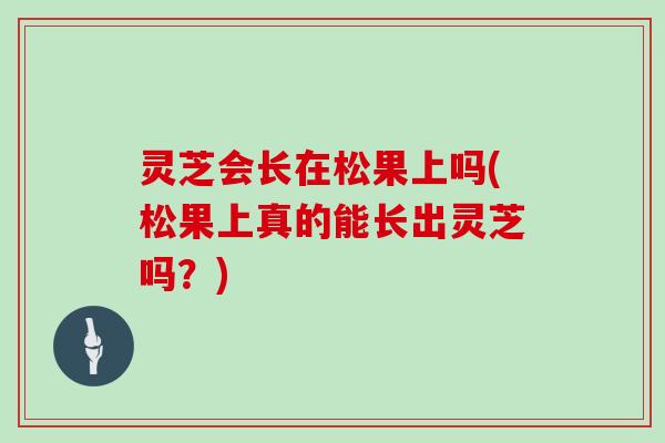 灵芝会长在松果上吗(松果上真的能长出灵芝吗？)