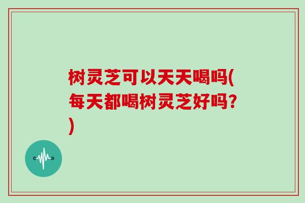 树灵芝可以天天喝吗(每天都喝树灵芝好吗？)