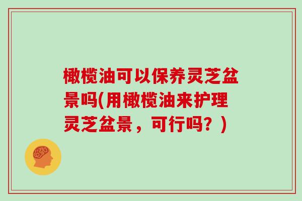 橄榄油可以保养灵芝盆景吗(用橄榄油来护理灵芝盆景，可行吗？)