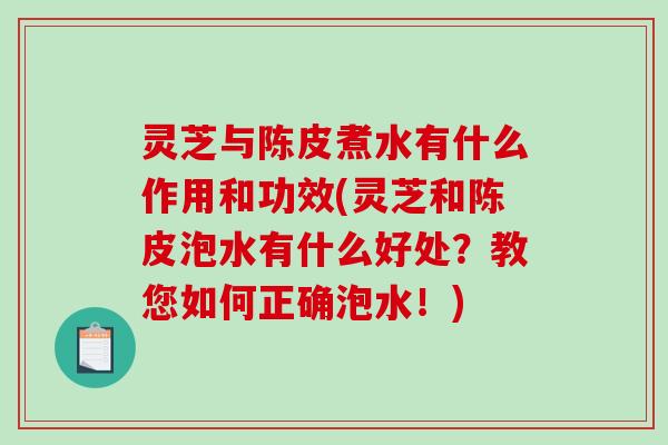 灵芝与陈皮煮水有什么作用和功效(灵芝和陈皮泡水有什么好处？教您如何正确泡水！)