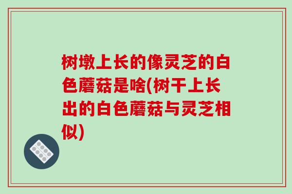 树墩上长的像灵芝的白色蘑菇是啥(树干上长出的白色蘑菇与灵芝相似)
