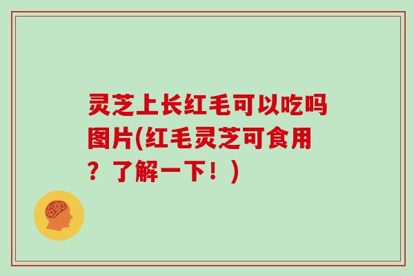 灵芝上长红毛可以吃吗图片(红毛灵芝可食用？了解一下！)