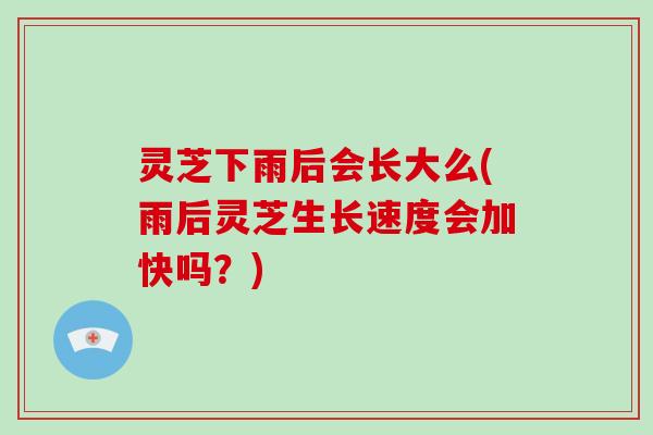 灵芝下雨后会长大么(雨后灵芝生长速度会加快吗？)