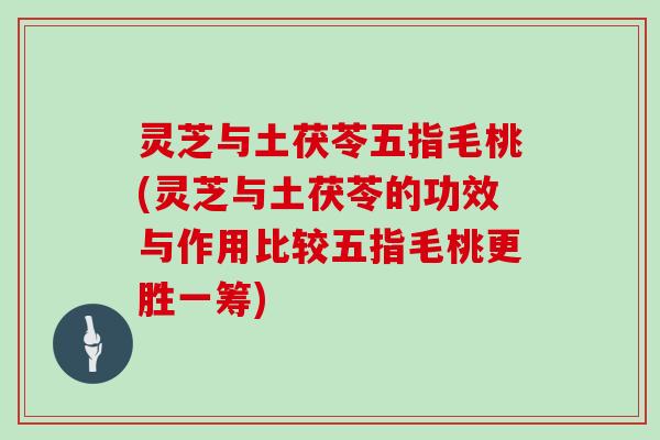 灵芝与土茯苓五指毛桃(灵芝与土茯苓的功效与作用比较五指毛桃更胜一筹) 灵芝与土茯苓五指毛桃(灵芝与土茯苓的功效与作用比较五指毛桃更胜一筹)