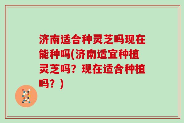济南适合种灵芝吗现在能种吗(济南适宜种植灵芝吗？现在适合种植吗？)