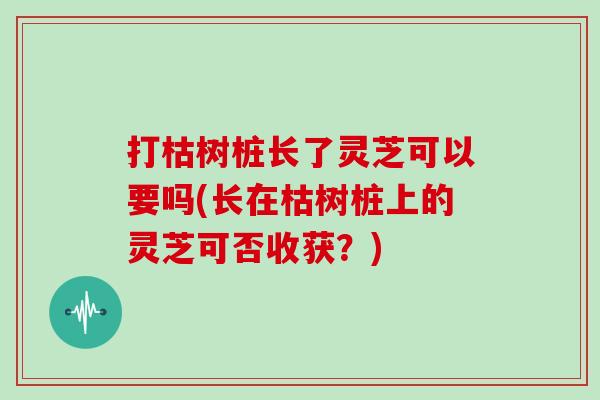 打枯树桩长了灵芝可以要吗(长在枯树桩上的灵芝可否收获？)