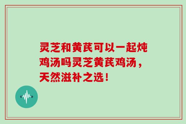 灵芝和黄芪可以一起炖鸡汤吗灵芝黄芪鸡汤，天然滋补之选！