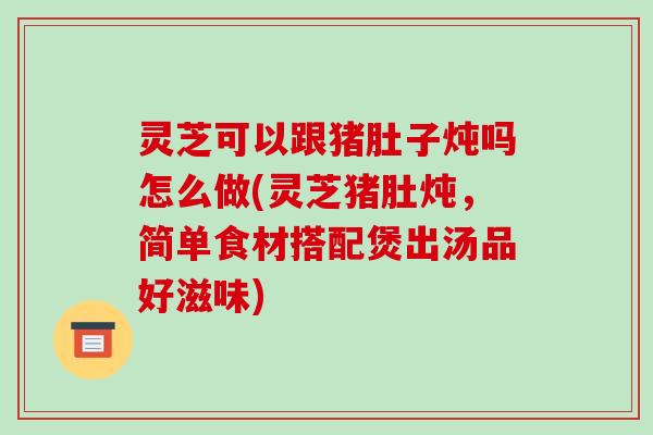 灵芝可以跟猪肚子炖吗怎么做(灵芝猪肚炖，简单食材搭配煲出汤品好滋味)