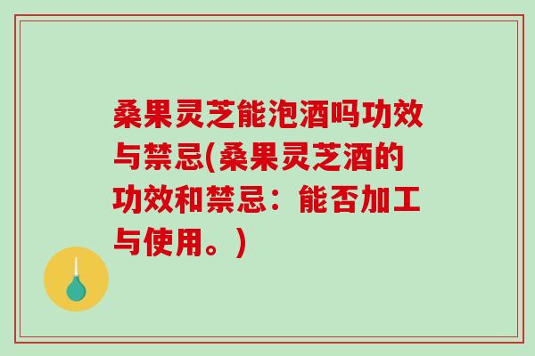 桑果灵芝能泡酒吗功效与禁忌(桑果灵芝酒的功效和禁忌：能否加工与使用。)