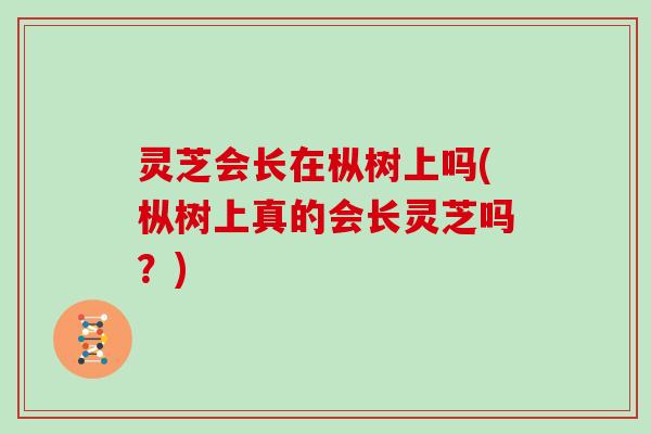 灵芝会长在枞树上吗(枞树上真的会长灵芝吗？)