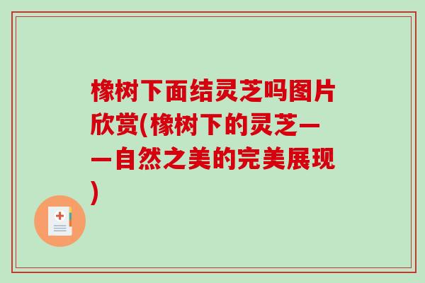 橡树下面结灵芝吗图片欣赏(橡树下的灵芝——自然之美的完美展现)