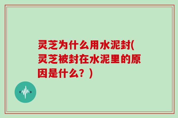 灵芝为什么用水泥封(灵芝被封在水泥里的原因是什么？)