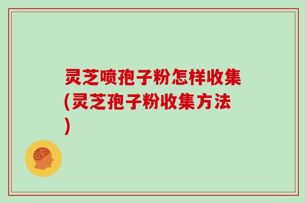 灵芝喷孢子粉怎样收集(灵芝孢子粉收集方法)
