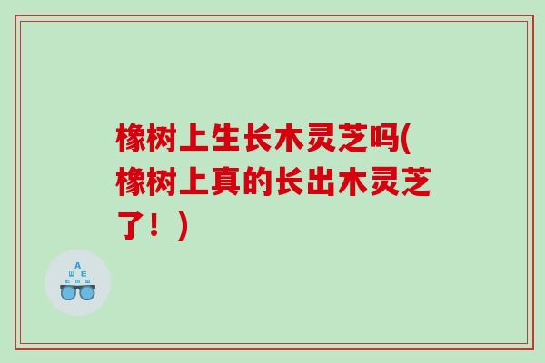 橡树上生长木灵芝吗(橡树上真的长出木灵芝了！)