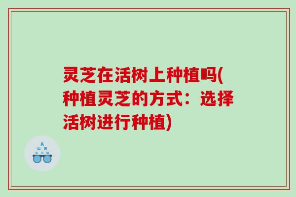 灵芝在活树上种植吗(种植灵芝的方式：选择活树进行种植)