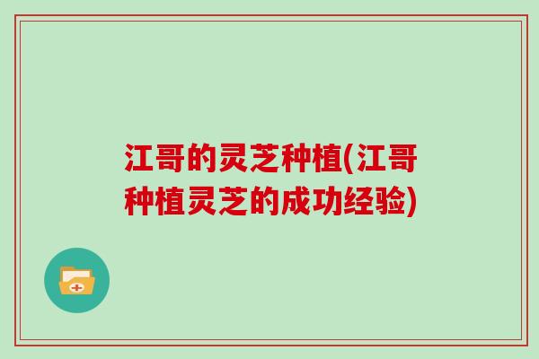 江哥的灵芝种植(江哥种植灵芝的成功经验)