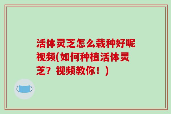 活体灵芝怎么栽种好呢视频(如何种植活体灵芝？视频教你！)