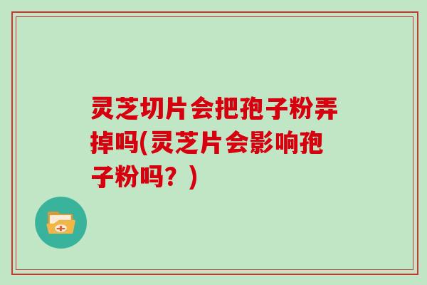 灵芝切片会把孢子粉弄掉吗(灵芝片会影响孢子粉吗？)