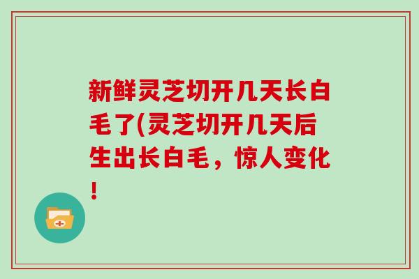 新鲜灵芝切开几天长白毛了(灵芝切开几天后生出长白毛，惊人变化！