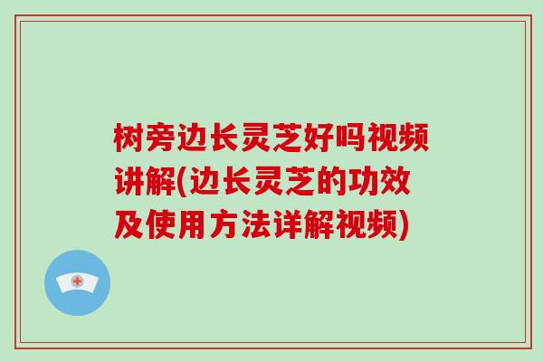 树旁边长灵芝好吗视频讲解(边长灵芝的功效及使用方法详解视频)