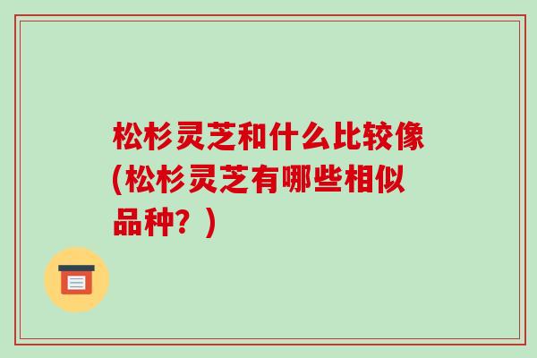 松杉灵芝和什么比较像(松杉灵芝有哪些相似品种？)