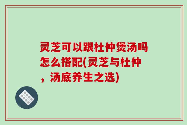 灵芝可以跟杜仲煲汤吗怎么搭配(灵芝与杜仲，汤底养生之选)