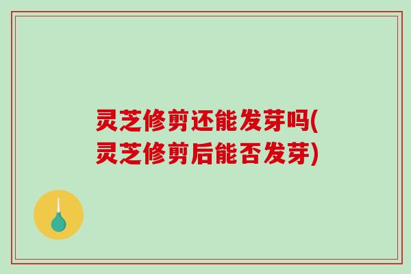 灵芝修剪还能发芽吗(灵芝修剪后能否发芽)