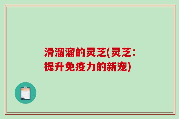 滑溜溜的灵芝(灵芝：提升免疫力的新宠)