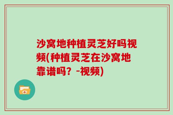 沙窝地种植灵芝好吗视频(种植灵芝在沙窝地靠谱吗？-视频)