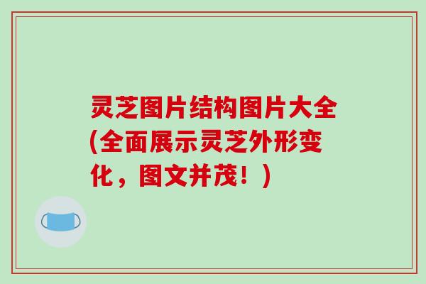 灵芝图片结构图片大全(全面展示灵芝外形变化，图文并茂！)