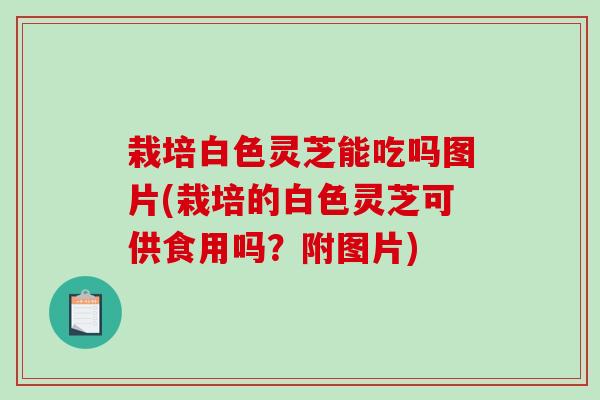 栽培白色灵芝能吃吗图片(栽培的白色灵芝可供食用吗？附图片)