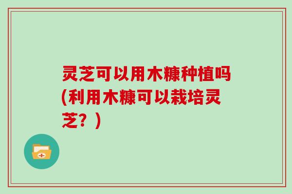 灵芝可以用木糠种植吗(利用木糠可以栽培灵芝？)