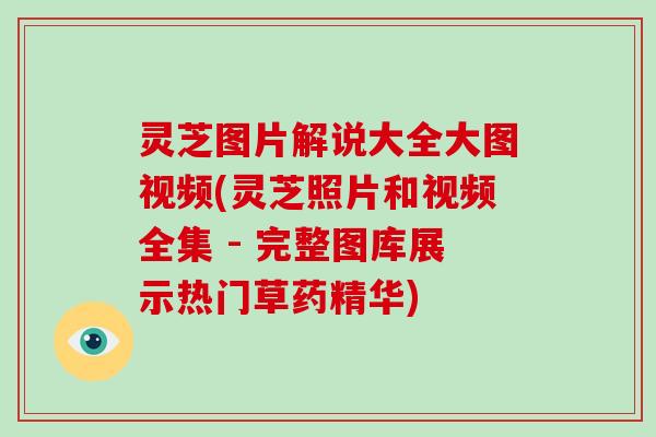 灵芝图片解说大全大图视频(灵芝照片和视频全集 - 完整图库展示热门草药精华)