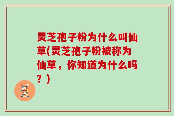 灵芝孢子粉为什么叫仙草(灵芝孢子粉被称为仙草，你知道为什么吗？)