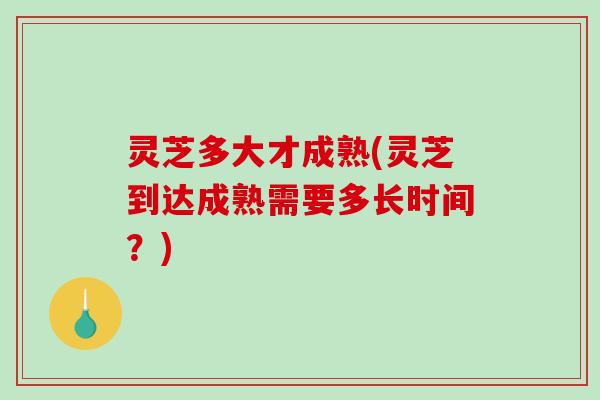 灵芝多大才成熟(灵芝到达成熟需要多长时间？)