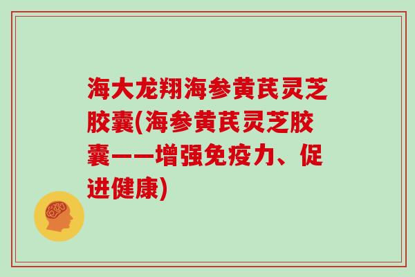 海大龙翔海参黄芪灵芝胶囊(海参黄芪灵芝胶囊——增强免疫力、促进健康)