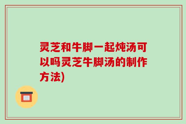 灵芝和牛脚一起炖汤可以吗灵芝牛脚汤的制作方法)