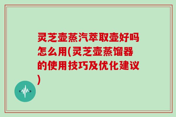灵芝壶蒸汽萃取壶好吗怎么用(灵芝壶蒸馏器的使用技巧及优化建议)