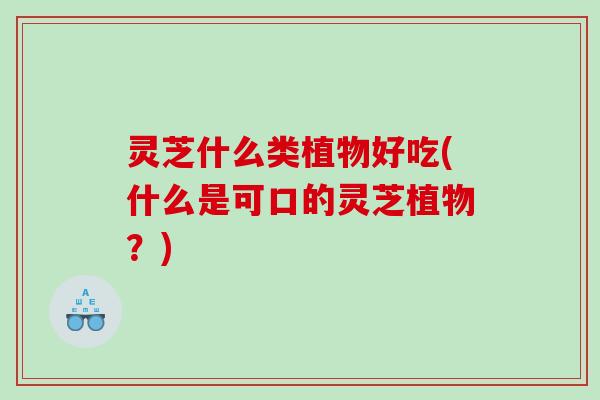 灵芝什么类植物好吃(什么是可口的灵芝植物？)