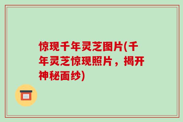 惊现千年灵芝图片(千年灵芝惊现照片，揭开神秘面纱)